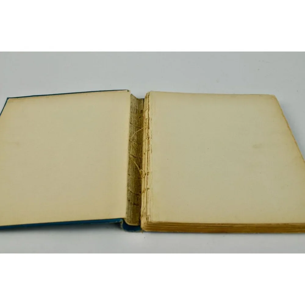1903 Brevities Lisle de Vaux Matthewman Clare Victor Dwiggins Book